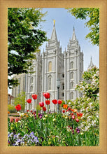 Load image into Gallery viewer, Salt Lake City Temple June - God Is the Gardner