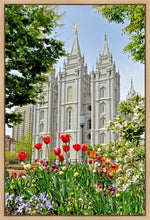 Load image into Gallery viewer, Salt Lake City Temple June - God Is the Gardner Gallery Wrap