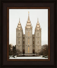 Load image into Gallery viewer, Salt Lake City Temple Warming Reflection