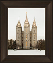 Load image into Gallery viewer, Salt Lake City Temple Warming Reflection