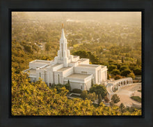 Load image into Gallery viewer, Bountiful Radiance Gallery Wrap