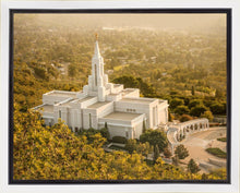 Load image into Gallery viewer, Bountiful Radiance Gallery Wrap