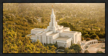 Load image into Gallery viewer, Bountiful Radiance Gallery Wrap