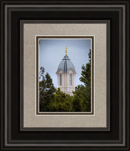 Load image into Gallery viewer, Cedar City Detail
