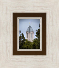 Load image into Gallery viewer, Cedar City Detail
