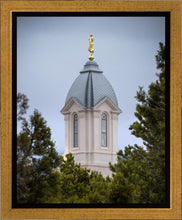 Load image into Gallery viewer, Cedar City Detail Gallery Wrap