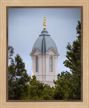 Load image into Gallery viewer, Cedar City Detail Gallery Wrap