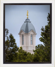 Load image into Gallery viewer, Cedar City Detail Gallery Wrap