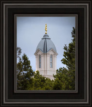 Load image into Gallery viewer, Cedar City Detail