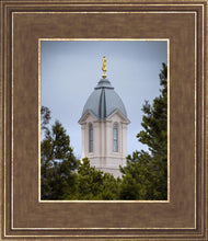 Load image into Gallery viewer, Cedar City Detail