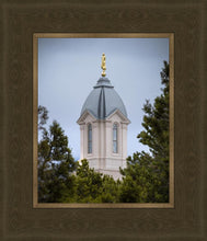 Load image into Gallery viewer, Cedar City Detail