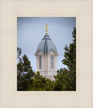 Load image into Gallery viewer, Cedar City Detail