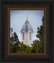 Load image into Gallery viewer, Cedar City Detail