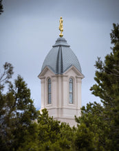 Load image into Gallery viewer, Cedar City Detail Gallery Wrap
