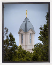 Load image into Gallery viewer, Cedar City Detail Gallery Wrap