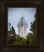 Load image into Gallery viewer, Cedar City Detail