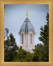 Load image into Gallery viewer, Cedar City Detail