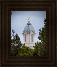 Load image into Gallery viewer, Cedar City Detail