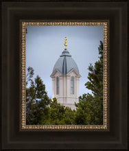 Load image into Gallery viewer, Cedar City Detail
