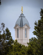 Load image into Gallery viewer, Cedar City Detail