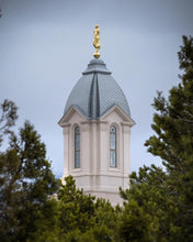Load image into Gallery viewer, Cedar City Detail Gallery Wrap