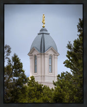 Load image into Gallery viewer, Cedar City Detail Gallery Wrap