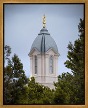 Load image into Gallery viewer, Cedar City Detail Gallery Wrap