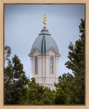Load image into Gallery viewer, Cedar City Detail Gallery Wrap