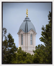 Load image into Gallery viewer, Cedar City Detail Gallery Wrap