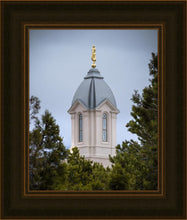 Load image into Gallery viewer, Cedar City Detail