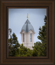 Load image into Gallery viewer, Cedar City Detail