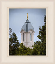 Load image into Gallery viewer, Cedar City Detail
