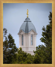 Load image into Gallery viewer, Cedar City Detail