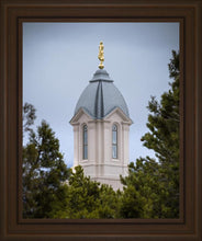 Load image into Gallery viewer, Cedar City Detail