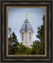 Load image into Gallery viewer, Cedar City Detail