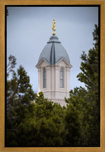 Load image into Gallery viewer, Cedar City Detail Gallery Wrap