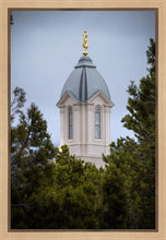 Load image into Gallery viewer, Cedar City Detail Gallery Wrap