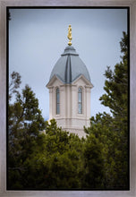 Load image into Gallery viewer, Cedar City Detail Gallery Wrap