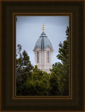 Load image into Gallery viewer, Cedar City Detail