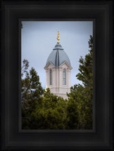 Load image into Gallery viewer, Cedar City Detail