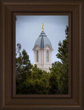 Load image into Gallery viewer, Cedar City Detail