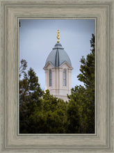 Load image into Gallery viewer, Cedar City Detail