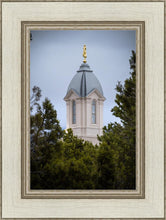 Load image into Gallery viewer, Cedar City Detail
