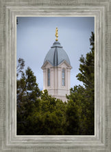 Load image into Gallery viewer, Cedar City Detail