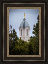 Load image into Gallery viewer, Cedar City Detail