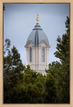 Load image into Gallery viewer, Cedar City Detail Gallery Wrap