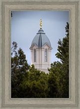 Load image into Gallery viewer, Cedar City Detail