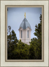 Load image into Gallery viewer, Cedar City Detail