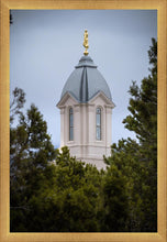 Load image into Gallery viewer, Cedar City Detail