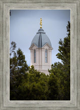 Load image into Gallery viewer, Cedar City Detail